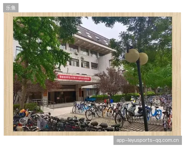 北大最终以“小鸟赢下这一洞”：如何在竞争激烈的高端教育中“飞”向顶尖